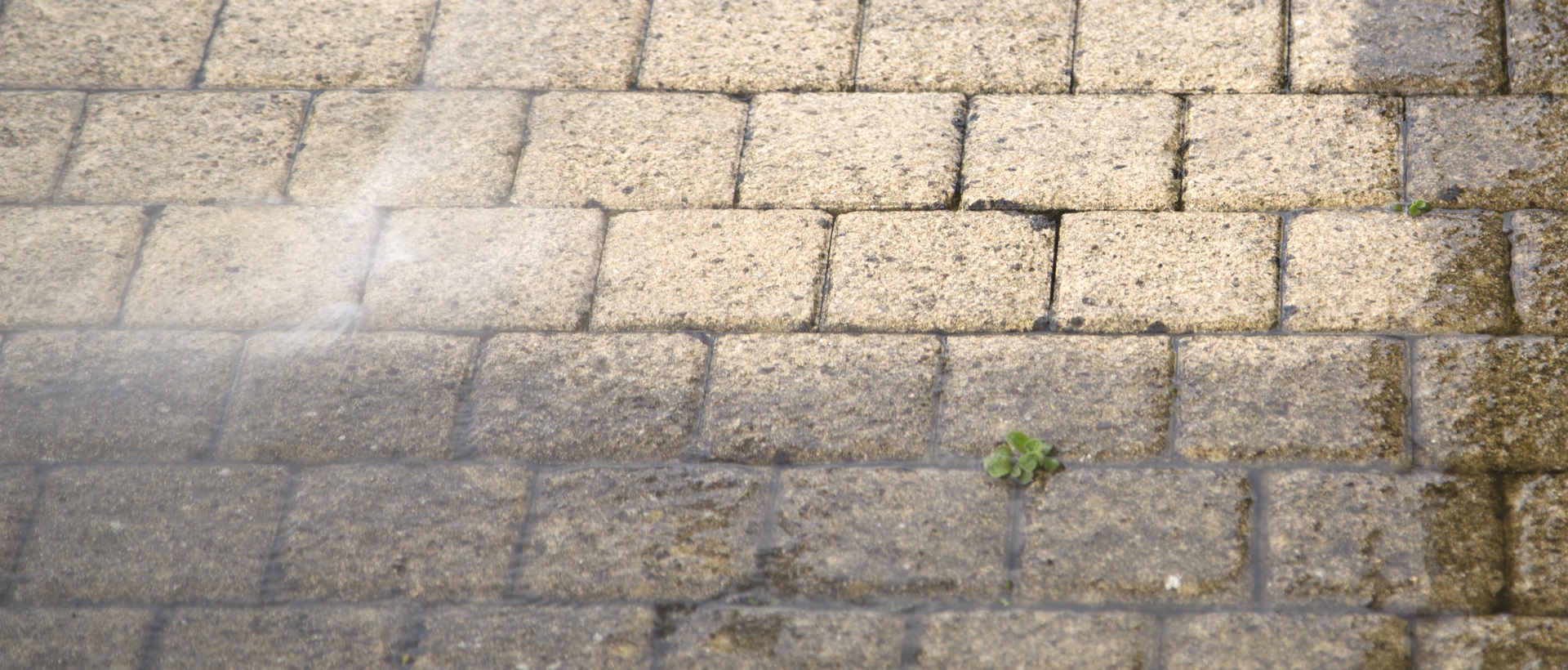 flagging and patios SE17